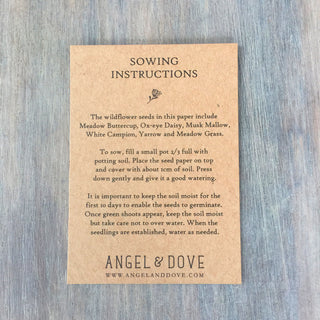 10 Plantable Wildflower Seed Paper Butterfly Funeral Favours - Angel & Dove