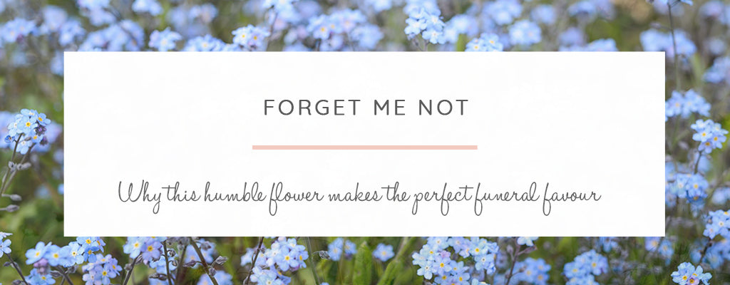 What makes the humble Forget-Me-Not the perfect Funeral Favour?