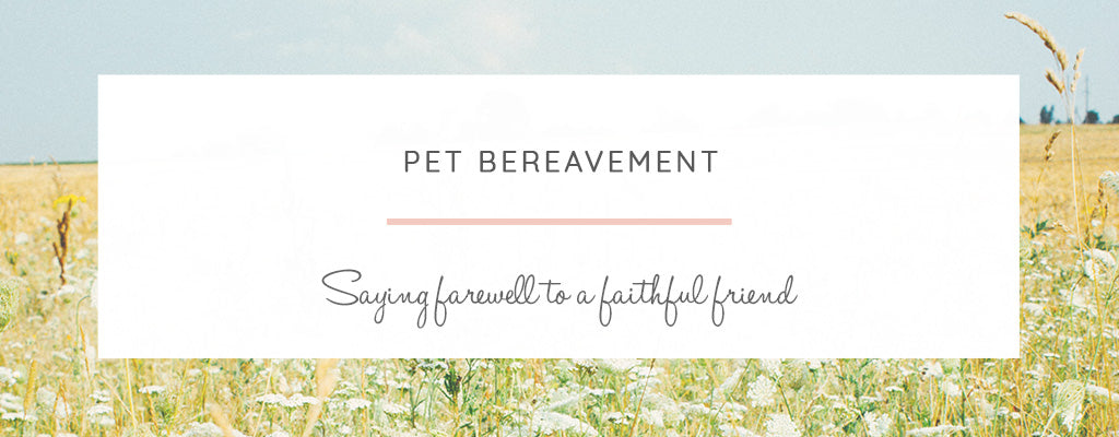 Pet Bereavement... Saying Farewell to a Faithful Friend