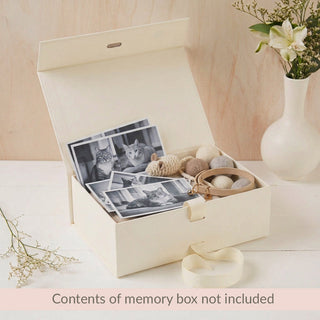 Medium 'Memories of a Beloved Cat' Memory Keepsake Box - Angel & Dove