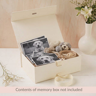 'Memories of a Beloved Dog' Memory Keepsake Box - Angel & Dove