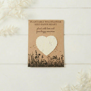 Biodegradable Goldfish Coffin with Grave Marker & Wildflower Seed Paper Heart