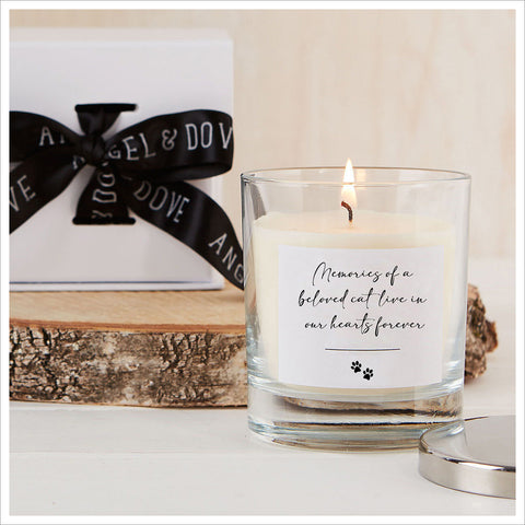 'Memories of a Beloved Cat' Gift Boxed 30cl Remembrance Candle with Silver Lid - Angel & Dove