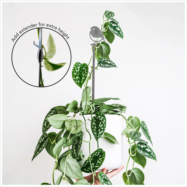 Metalbird Robin Silhouette Plant Stake 70cm - A Beautiful Remembrance Item for the Home or Garden - Angel & Dove