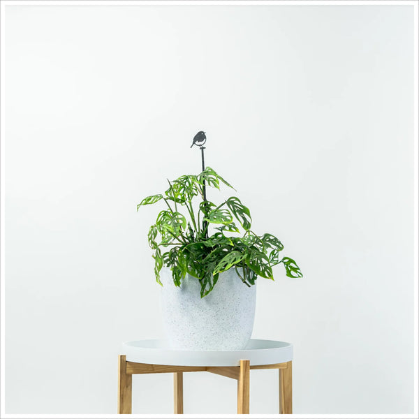 Metalbird Robin Silhouette Plant Stake 70cm - A Beautiful Remembrance Item for the Home or Garden - Angel & Dove