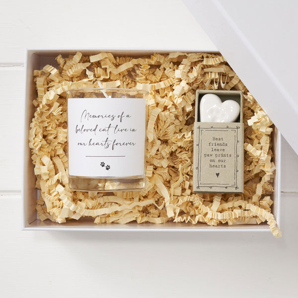 Memories of a Beloved Cat Sympathy Gift with Luxury Gift Bag & Card - Angel & Dove