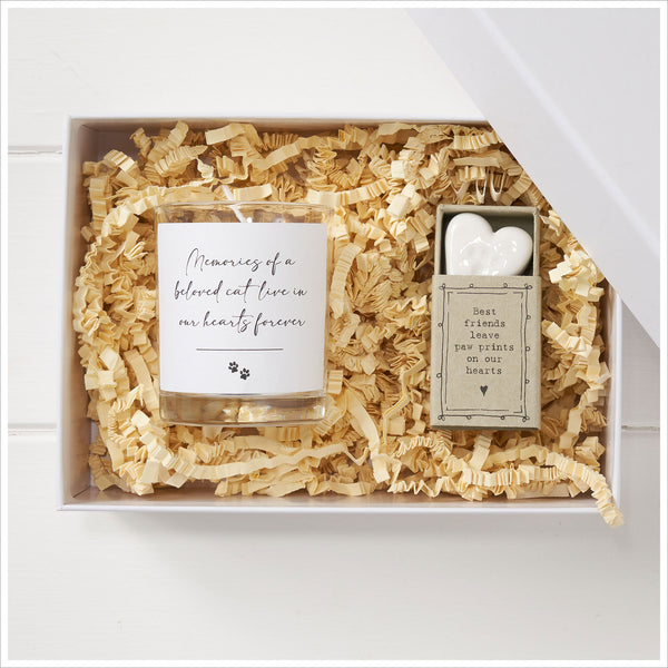 Memories of a Beloved Cat Sympathy Gift with Luxury Gift Bag & Card - Angel & Dove